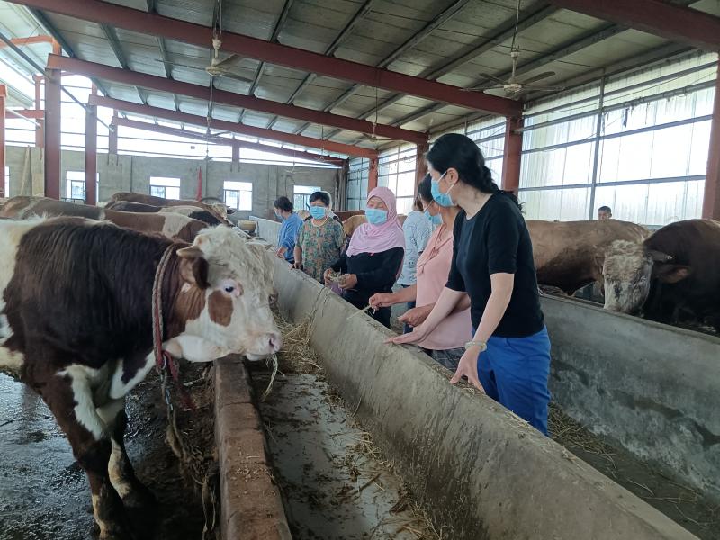 北京交大U8国际- U8国际官方网站- U8体育APP下载：调整专业适应就业