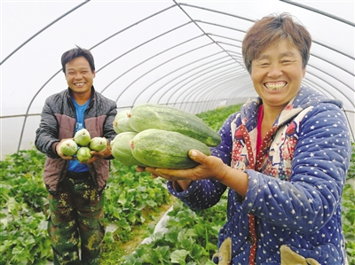 酥瓜香飘幸福味