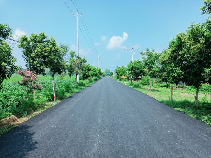 潘集镇魏圩村02大力发展产业实现强村富民