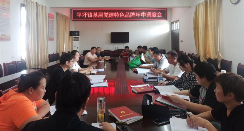 平圩镇召开创建基层党建特色品牌年中调度会