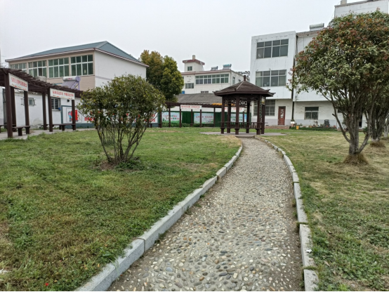 宋立敏深入基层调研农村人居环境整治