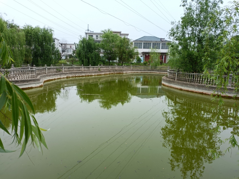 潘集区架河镇建设美丽乡村改善人居环境