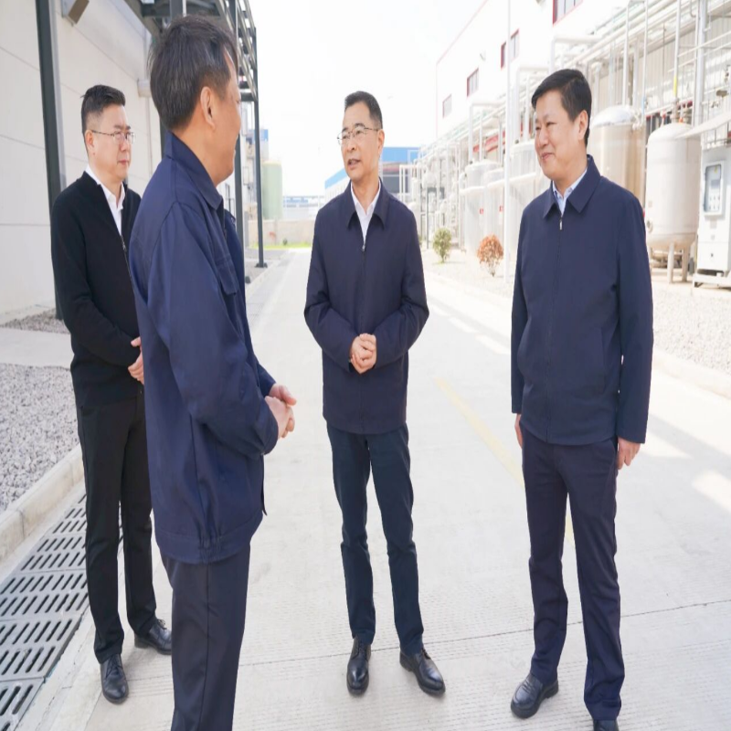 朱艾勇赴潘集区、淮南煤化工园区调研