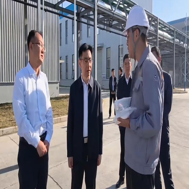 欧冬林赴潘集区调研
