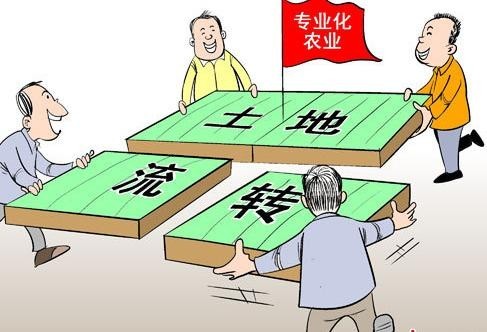 201807151646521949_m1Pjpyo0_487x332.jpg