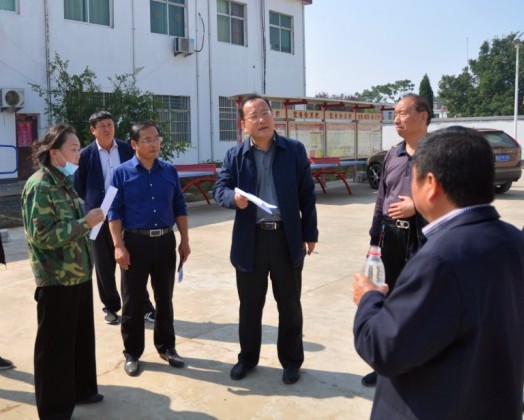 区领导督查美丽乡村建设工作_潘集区人民政府