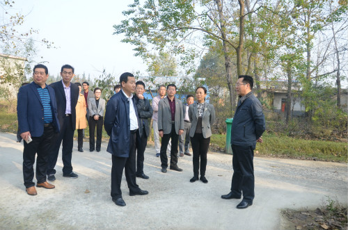 全区农村环境整治暨美丽乡村建设现场会在泥河镇召开